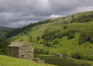 Dales Barn